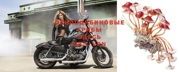 каннабис Армянск