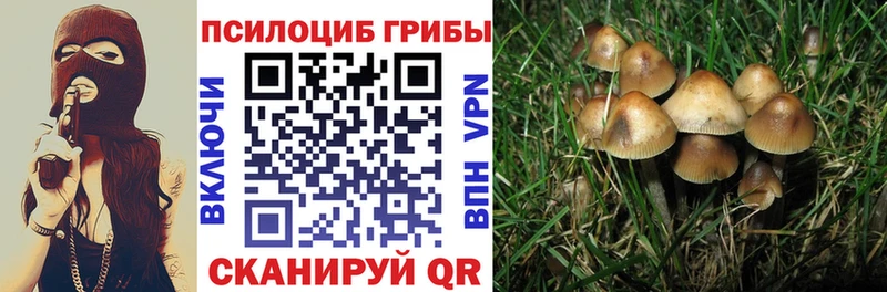 hydra зеркало  Суджа  Галлюциногенные грибы MAGIC MUSHROOMS 